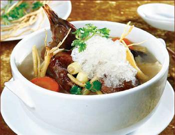 Tổ yến hầm bồ câu